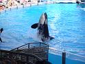 Sea World-89